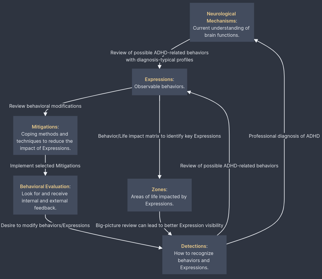 ADHD BAMF Proposal-8.png